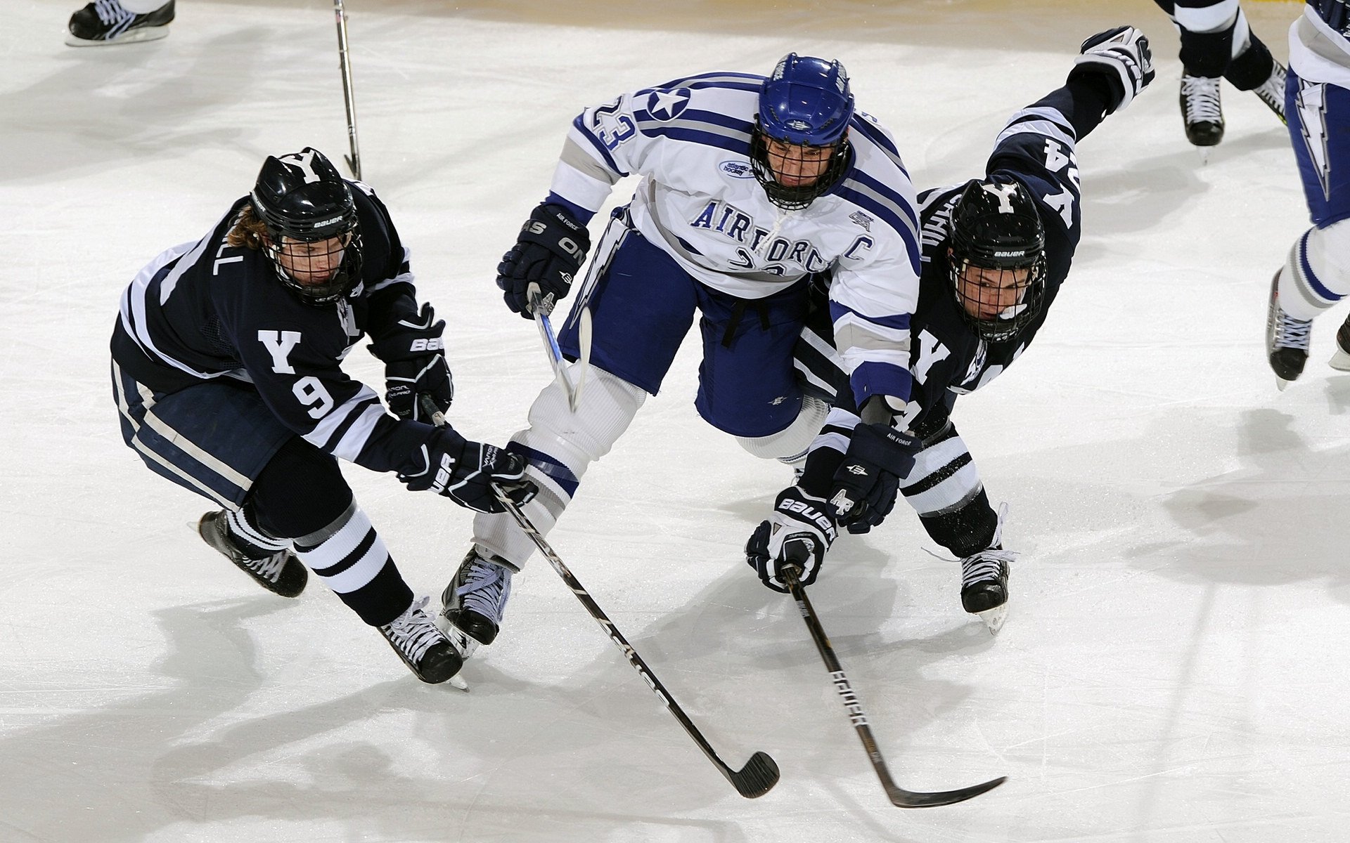 开云体育中国官方网站-体育新闻中心承办新媒体环境下体育传播战略研讨会，体育传播活动中新媒体使用情况